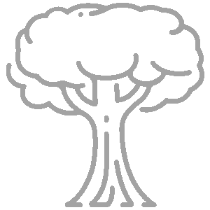 tree tree